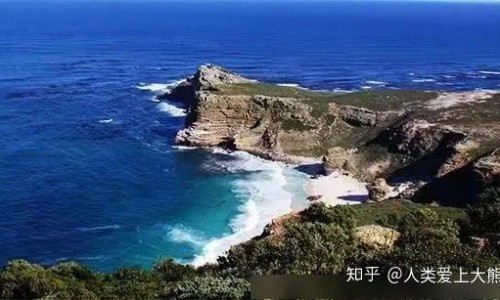 黄芪与当归喝功效有什么区别网 | 黄芪和当归有什么功效,黄芪和当归有什么区别