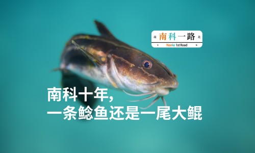黄芪和当归的区别图片-黄芪与当归喝功效有什么区别网 | 黄芪和当归有什么功效,黄芪和当归有什么区别