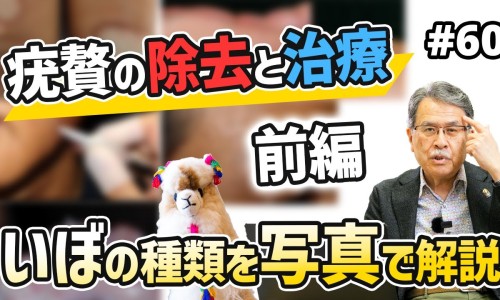 黄芪和当归一起的功效与作用-黄芪与当归喝功效有什么区别网 | 黄芪和当归有什么功效,黄芪和当归有什么区别